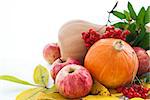 Autumnal stll life - pumpkins, apples and ashberry with fall leaves