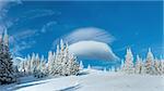 Morning winter mountain landscape with fir forest.