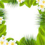 Frame With Frangipani And Leaf With Gradient Mesh, Vector Illustration