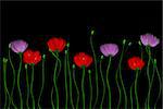 Red and pink flowers on a black background. Drawing Digital Art.