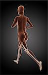 3D render of a female medical running with legs highlighted