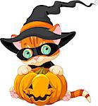 Halloween red tabby kitten with pumpkin