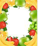 Frame made of fresh juicy fruit. Vector.