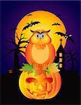 Happy Halloween Orange Fall Color Cartoon Owl Sitting on Jack O Lantern Pumpkin with Bats Moon Cemetery Background Illustration