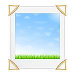 Photo of green grass and blue sky, vector eps10 illustration