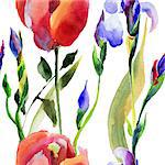 Seamless pattern with Iris and Tulip flower, watercolor illustration