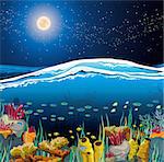Nature vector seascape with underwater creatures and night starry sky over surface