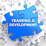 Training and Development Written on Blue Puzzle Pieces. Educational Concept.  3D Render.