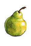 Pear isolated on white. Watercolor illustration