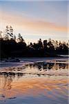 Tofino area of Long Beach at sunrise, West Coast, British Columbia, Canada