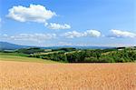 Early summer in the countryside, Hokkaido