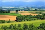 Biei countryside, Hokkaido