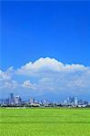 Rice field and Sendai cityscape, Miyagi Prefecture