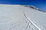 Backcountry skier on the move, European Alps, Tyrol, Austria