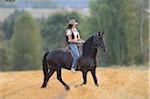 Young Woman Riding Friesian Horse on threshed Cornfield, Bavaria, Germany