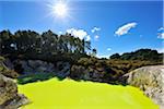 Devil's Cave with Sun, Wai-O-Tapu Thermal Wonderland, Bay of Plenty, North Island, New Zealand