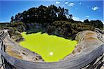 Devil's Cave, Wai-O-Tapu Thermal Wonderland, Bay of Plenty, North Island, New Zealand