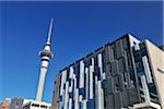 Sky Tower and Buildings, Auckland, North Island, New Zealand