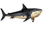 The Megalodon shark was an enormous predator in the Cenozoic Period of prehistoric Earth.