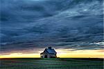 A lone barn in a green field with beautiful sunset in background