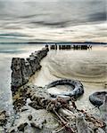 Old tire sitting in disgusting water next to pylons in the Salton Sea, California