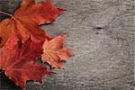 autumn maple leaves on wood surface, horizontal
