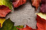 frame from autumn maple leaves on wood surface, horizontal
