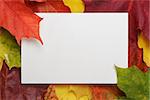 autumn maple leaves on wood surface with paper card, horizontal