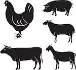 vector set of farm animals chicken, cow, sheep, goat, pig