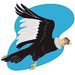 Illustration of a condor vulture in flight done in retro style on isolated white background.