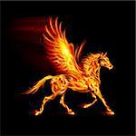 Fire Pegasus in motion on black background.