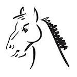 illustration with an horse on white background  for your design