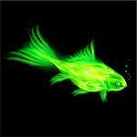 Illustration of green fire fish on black background.