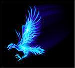 Illustration of blue fire hawk on black background.