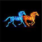 Red and blue fire horses on black background.