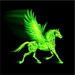 Illustration of green fire Pegasus on black background.