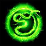 Green fire snake in blazing circle on black background.