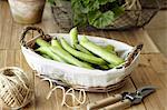 Basket of broad beans