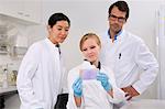 Group of scientists examining microtiter plate with crystal violet solution