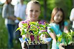 Organic Farm. Summer Party. A Young Girl Holding Out A Tray Of Seedling Plants.