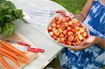 Family Party. A Child Carrying A Bowl Of Fresh Picked Cherries To A Buffet Table.