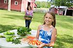 Family Party. A Child Carrying A Bowl Of Fresh Picked Cherries To A Buffet Table.