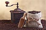 Coffee beans abundance with small sack and old grinder