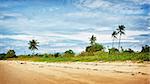 sand beach with palms, Andaman Sea, Thailand