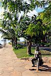 statue of brigitte bardot in the beautiful typical brazilian city of buzios near rio de janeiro in brazil