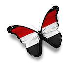 Yemeni flag butterfly, isolated on white