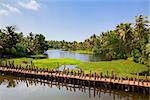 backwaters of cochin in Kerala state india