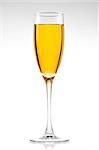 Glass of champagne on a white background