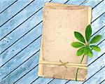 Old cards and green leaf on wooden planks