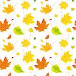 Seamless background with flying autumn leaves of a birch, maple and barberry. Isolated on white background